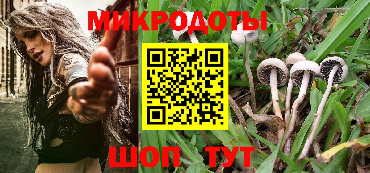 Псилоцибиновые грибы Psilocybe Мирный